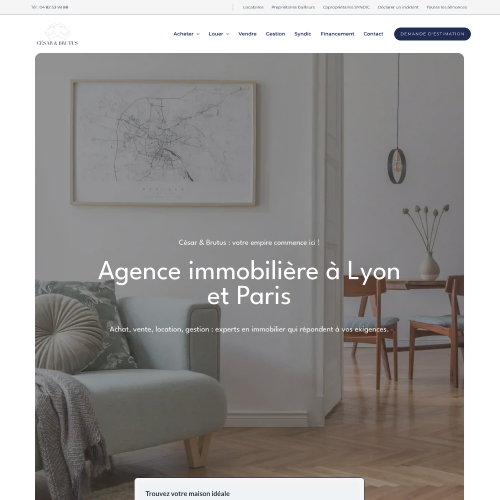 César & Brutus : Google Ads, Meta Ads